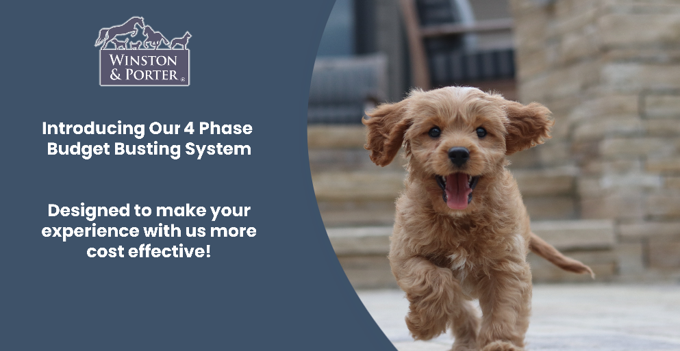 4 Phase Budget Busting System