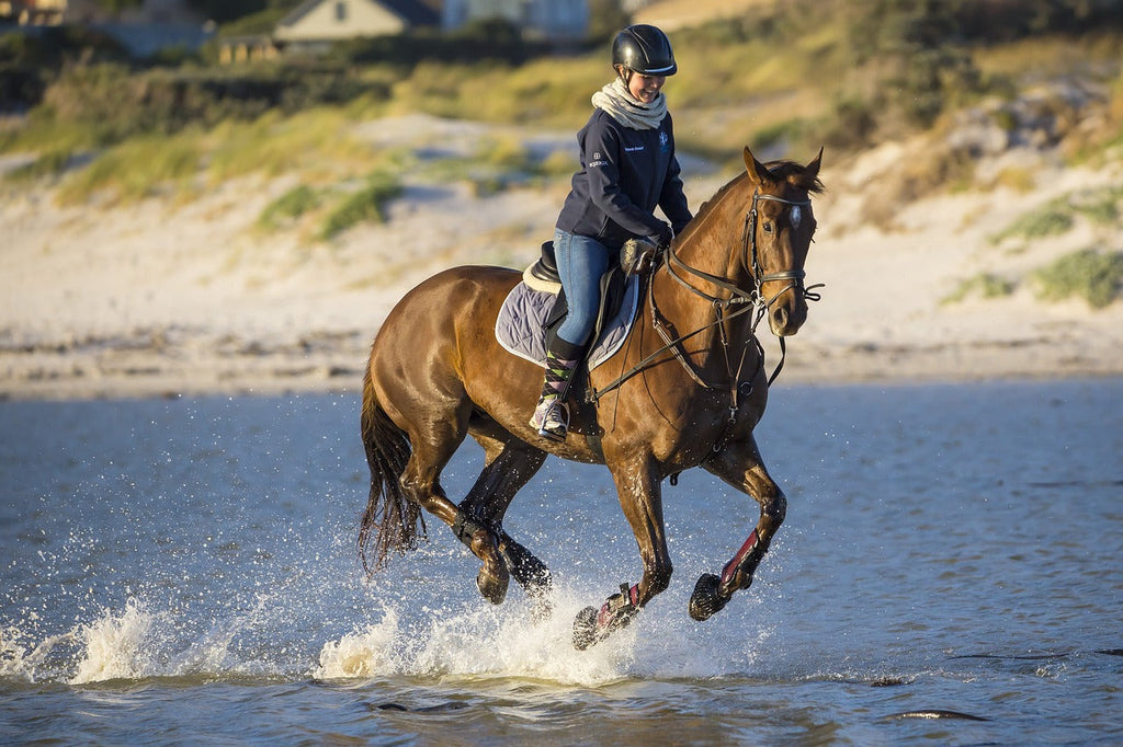 Essential Guide to Maintaining Your Horse's Joint Health: Signs, Supplements, and Solutions