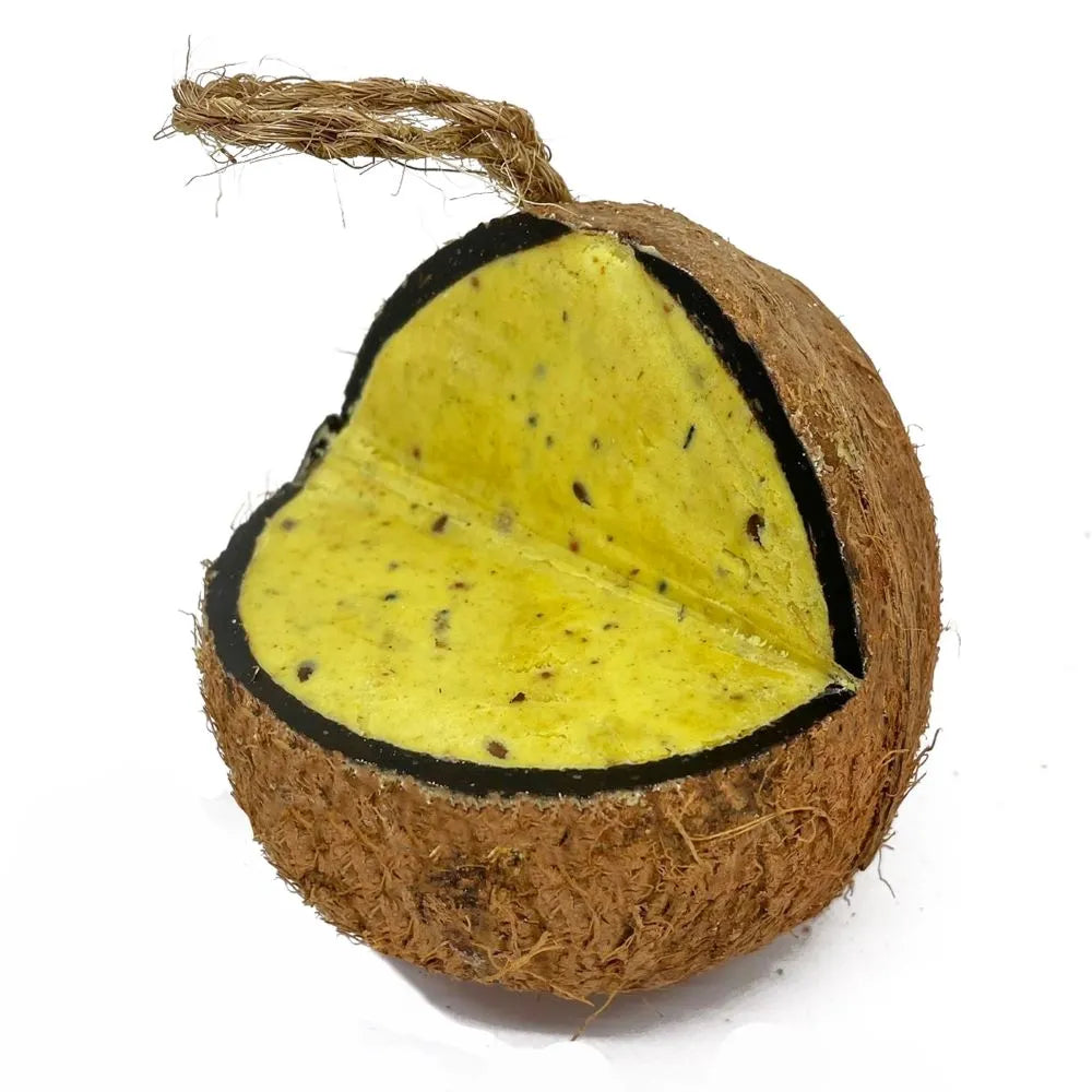 Natures Grub Coconut XL