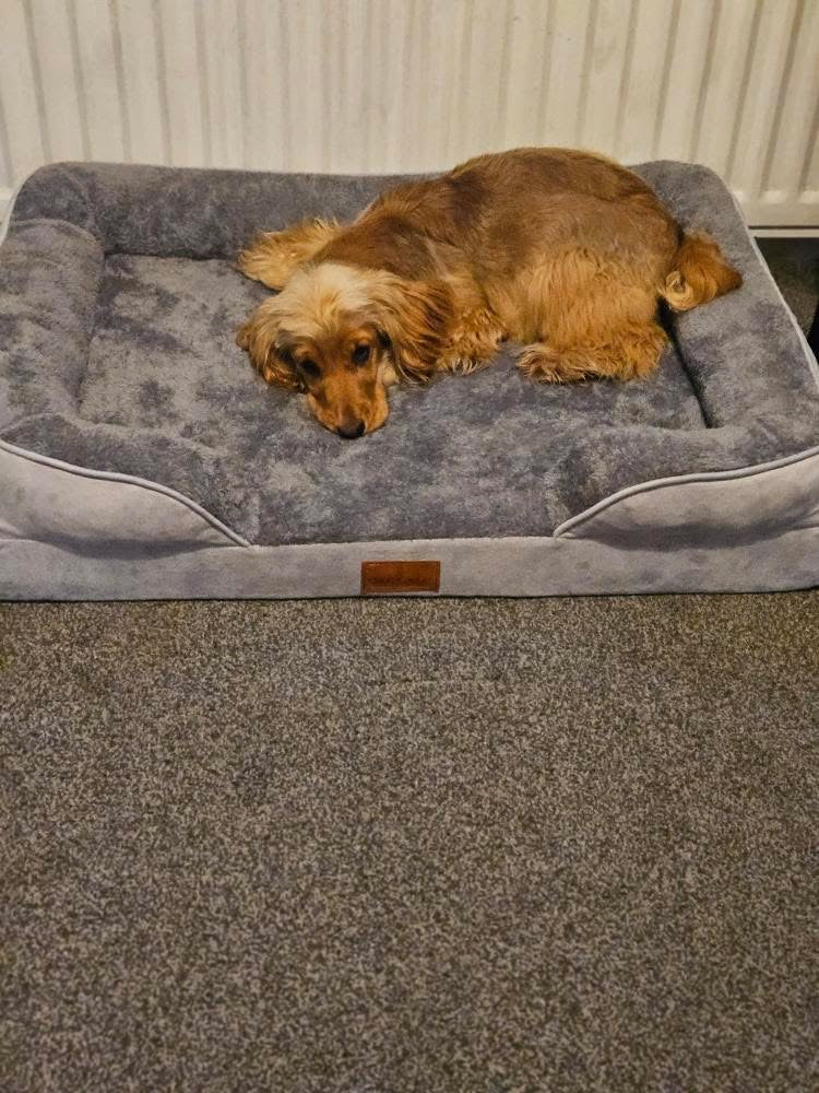 Washable Luxury Dog Sofa Bed - Large