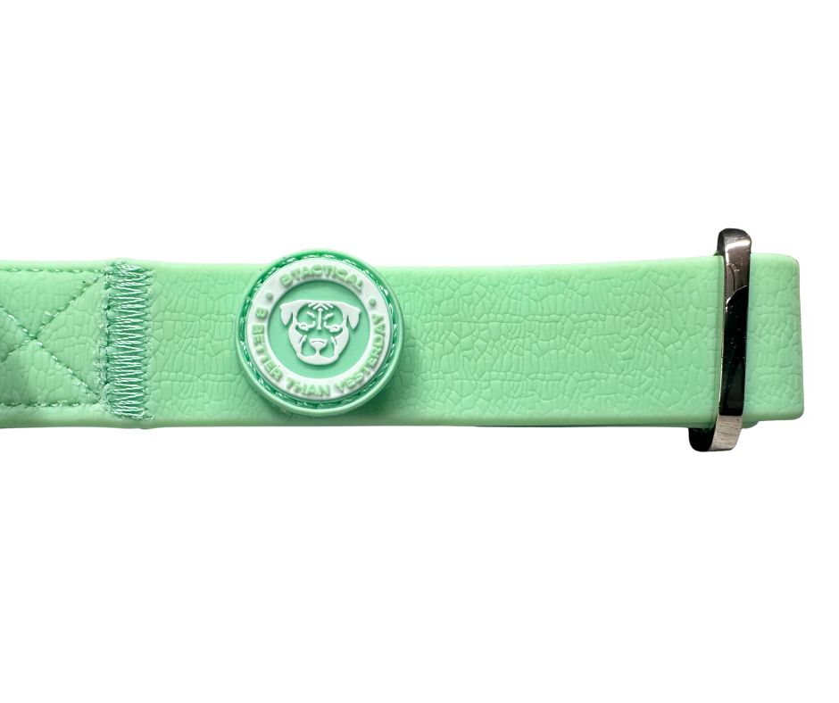 Puppy PVC BTactical™ Collar | Pastel Green