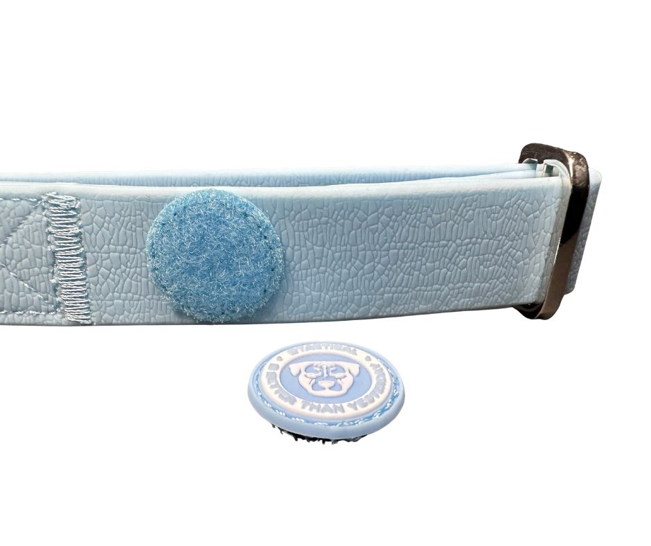 Puppy PVC BTactical™ Collar | Pastel Blue