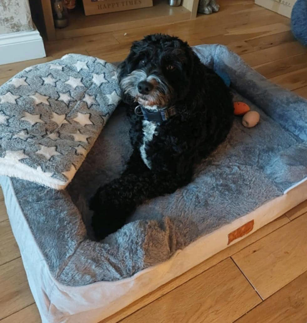 Washable Luxury Dog Sofa Bed - Large