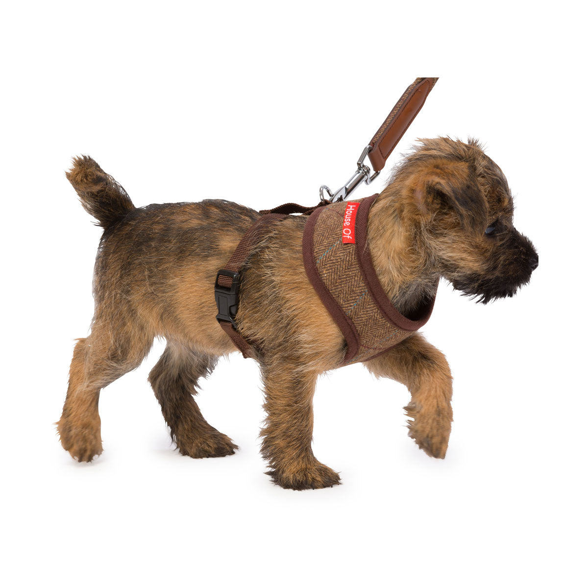 House of Paws Memory Foam Harness