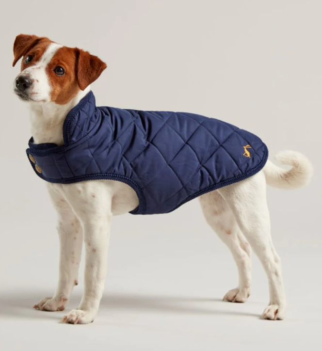 Joules Quilted Dog Coat