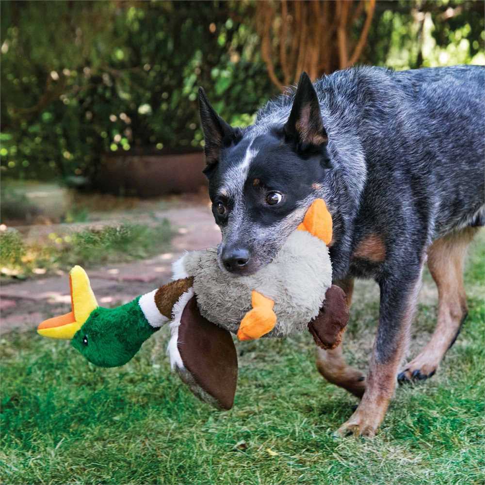 KONG SHAKERS HONKER DUCK
