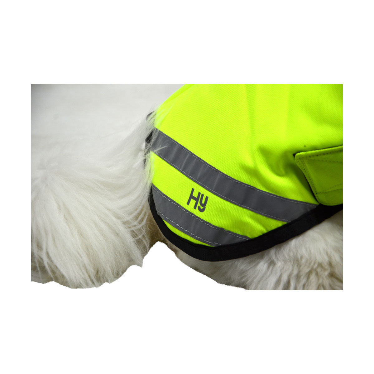 Benji & Flo Reflector Waterproof Dog Coat by Hy Equestrian