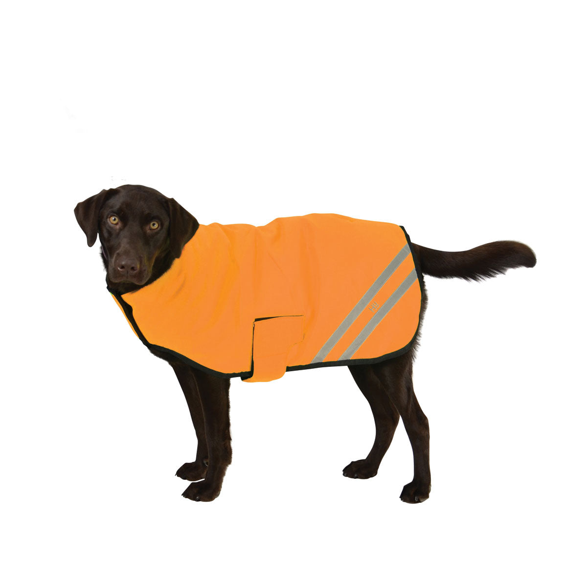 Benji & Flo Reflector Waterproof Dog Coat by Hy Equestrian