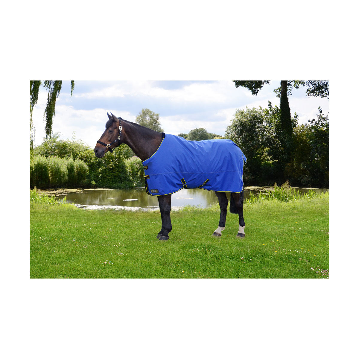 StormX Original 100 Turnout Rug Royal Blue/Navy/Yellow (6