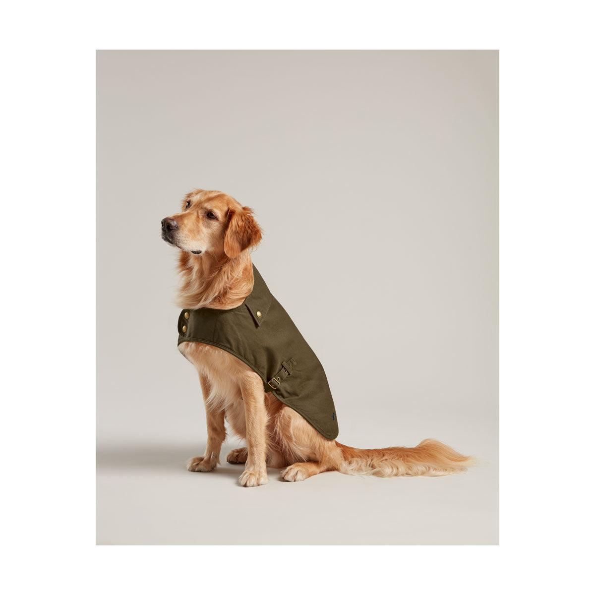 Joules Wax Dog Coat Green