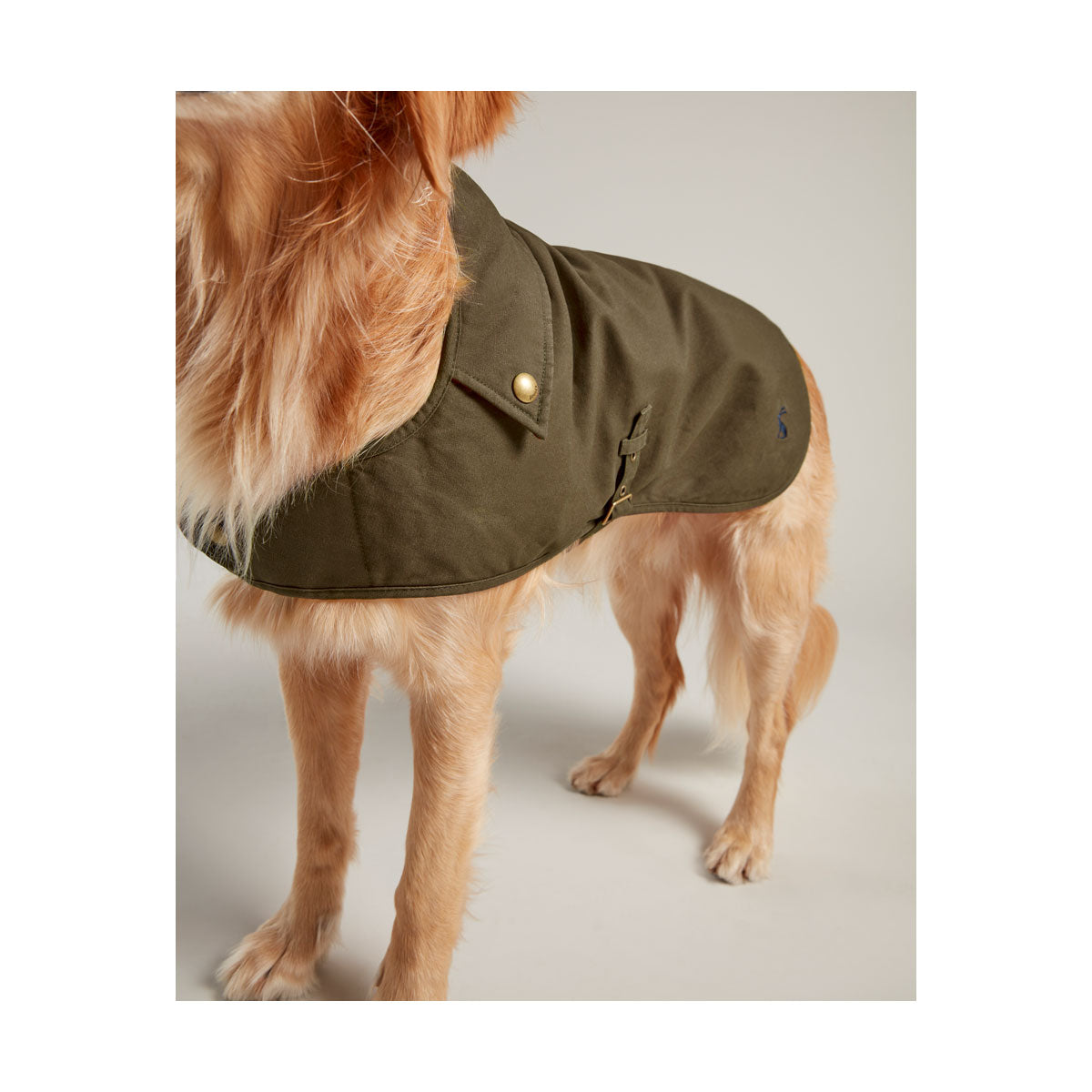 Joules Wax Dog Coat Green