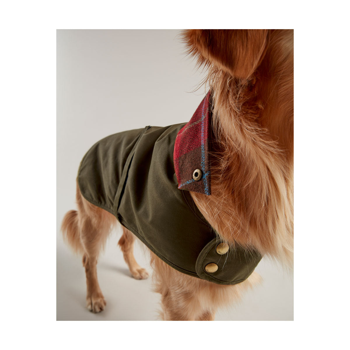 Joules Wax Dog Coat Green