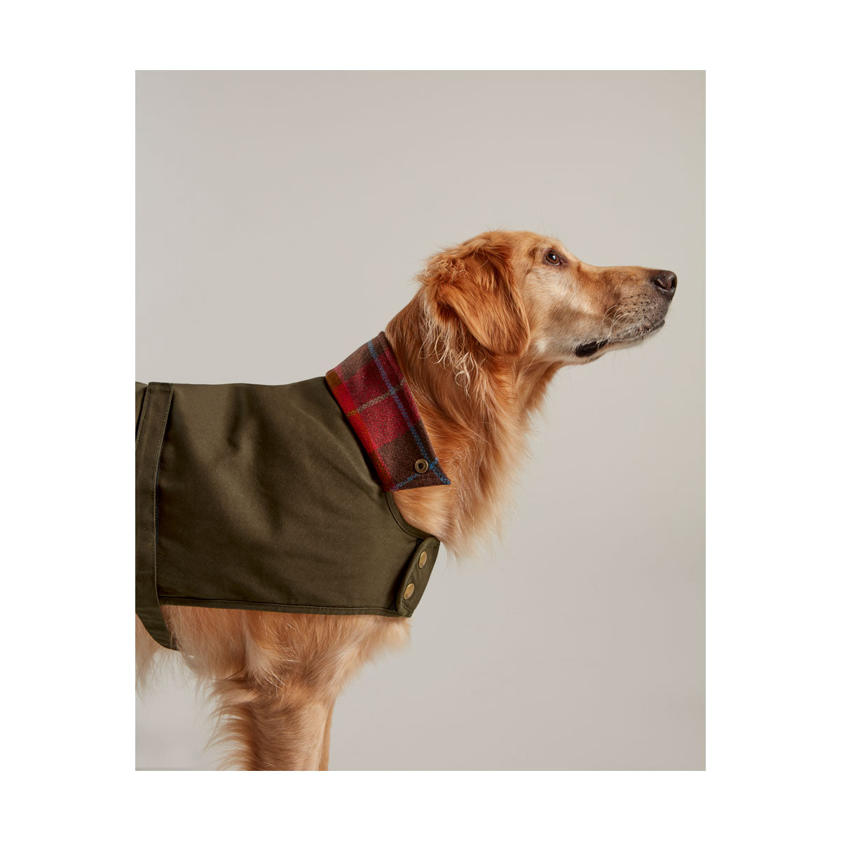 Joules Wax Dog Coat Green