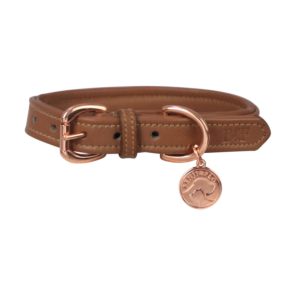 Benji & Flo Deluxe Padded Leather Dog Collar