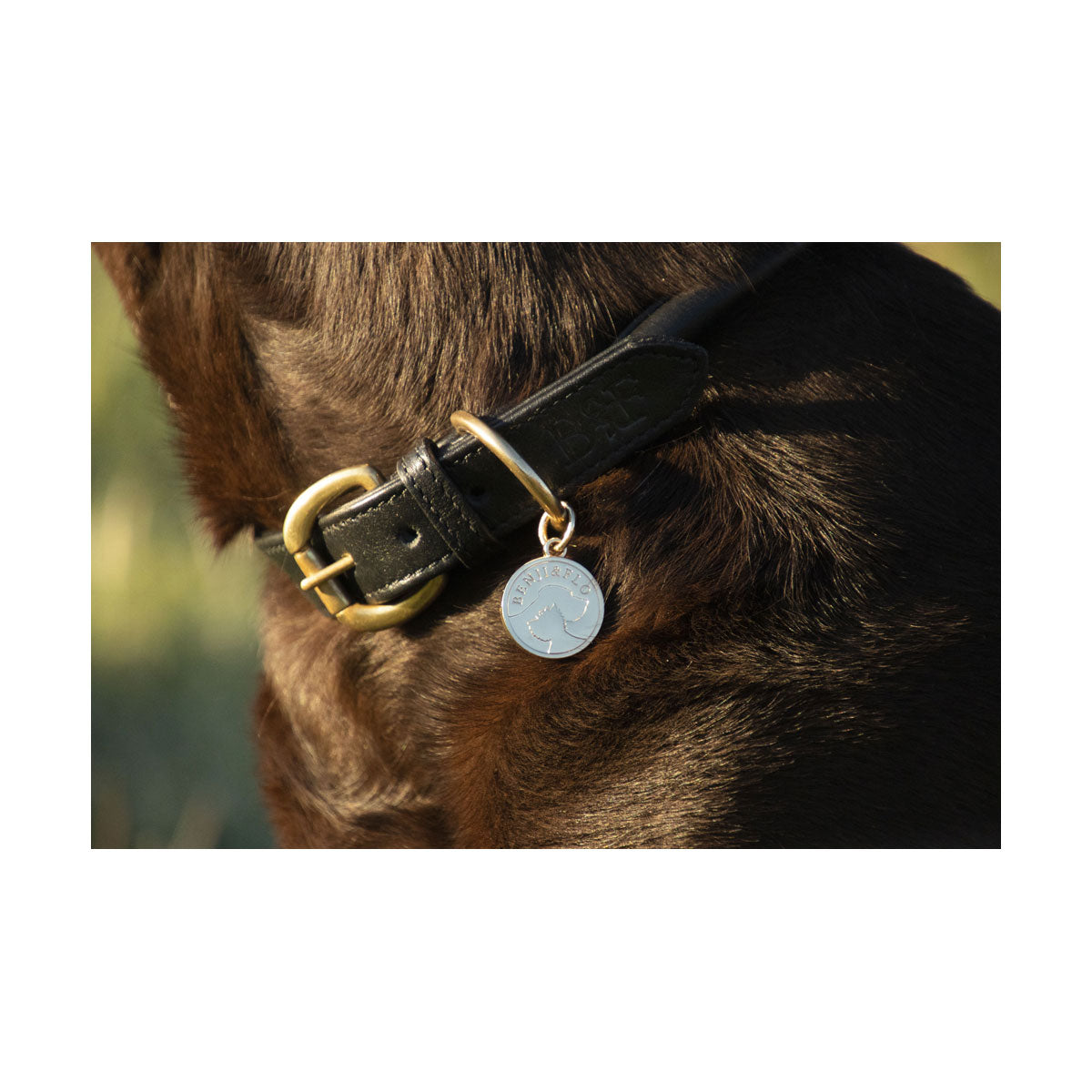 Benji & Flo Superior Rolled Leather Dog Collar