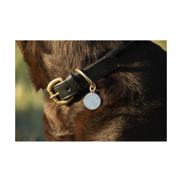 Benji and hotsell moon collars