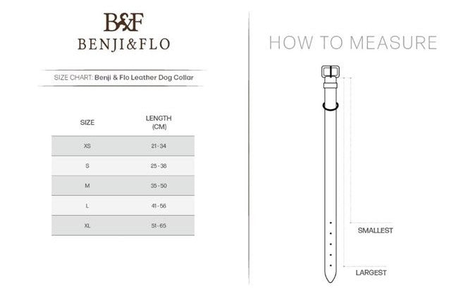 Benji & Flo Deluxe Padded Leather Dog Collar