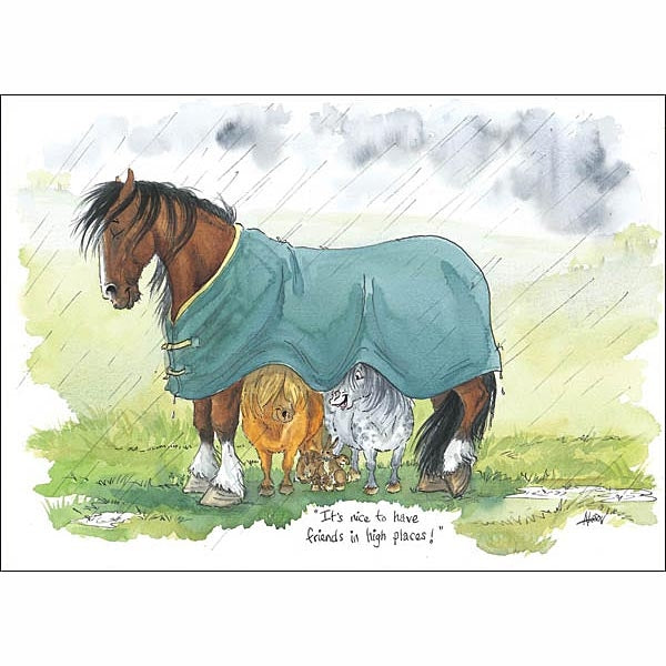 Alison's Horses Cards