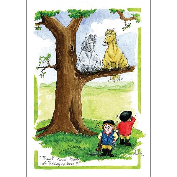 Alison's Horses Cards