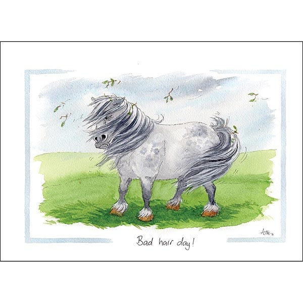 Alison's Horses Cards