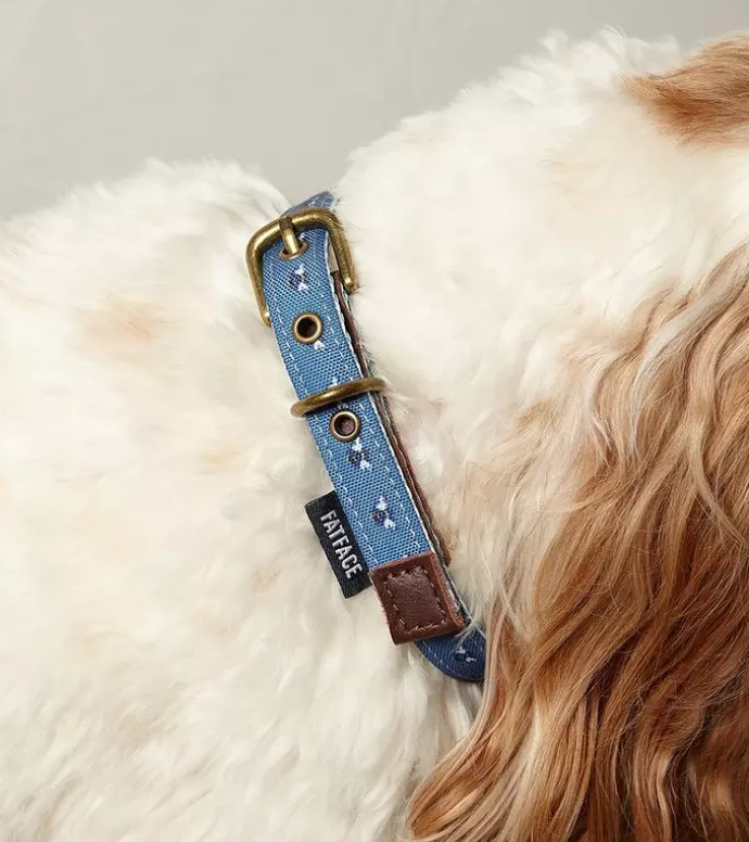 FatFace Spotty Bees Print Dog Collar