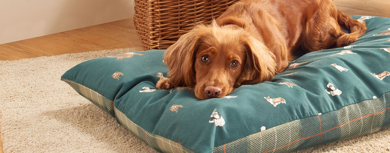 Laura Ashley Park Dogs Deep Duvet