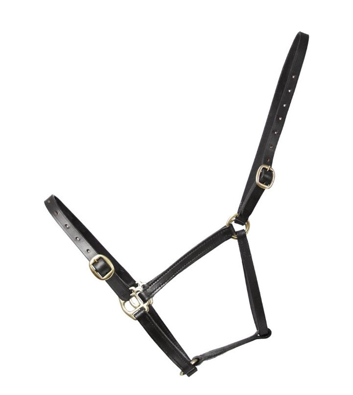 Hy Equestrian Leather Foal Head Collar