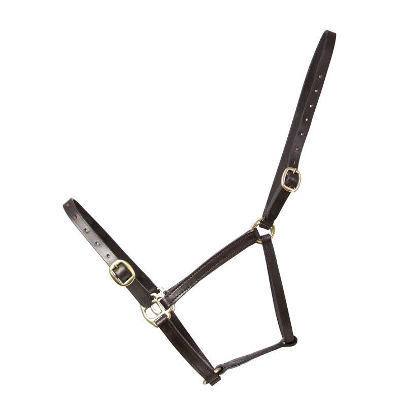 Hy Equestrian Leather Foal Head Collar