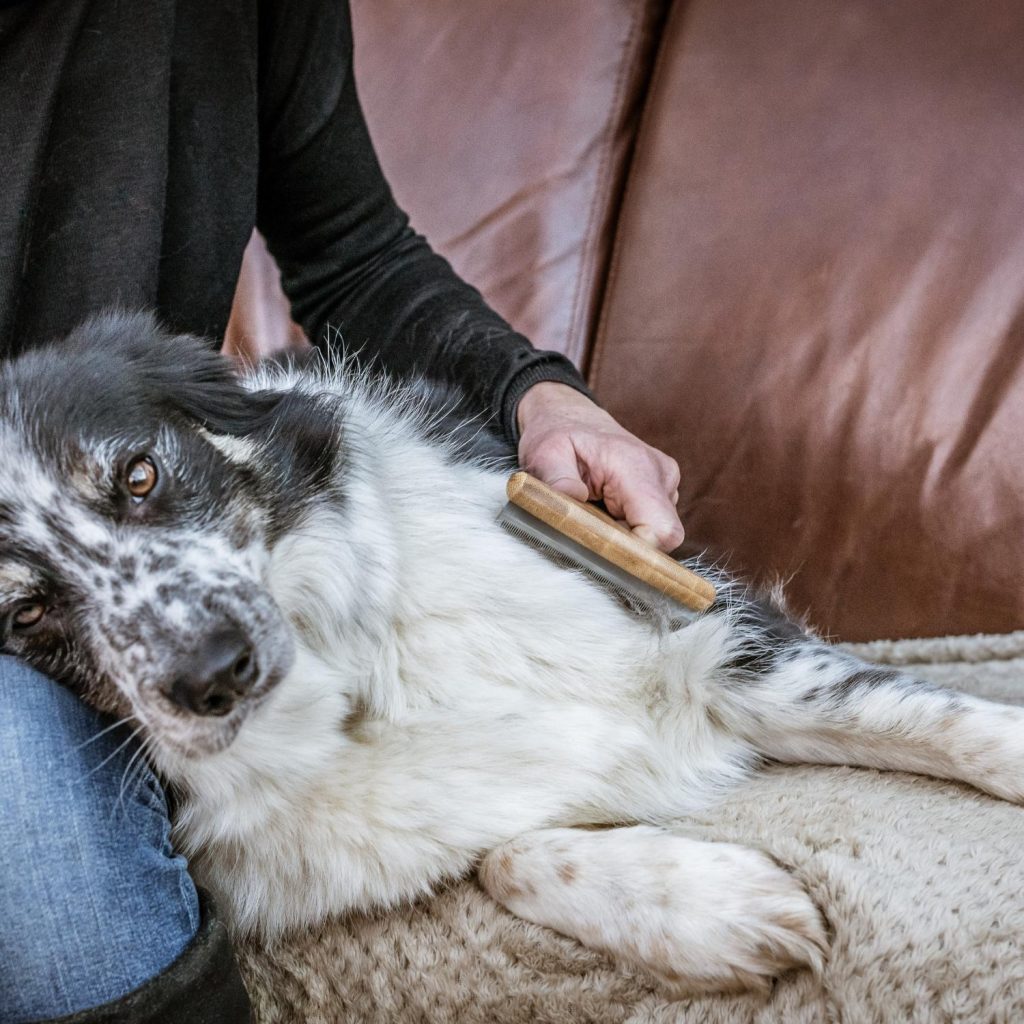 A Mikki brand bamboo pet grooming tool, specifically a moult master comb, packaged on a card with images of dogs and cats indicating the tool's use for grooming.