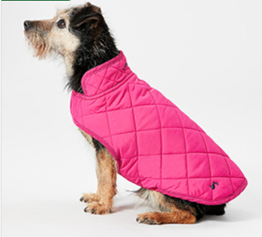 Joules Quilted Dog Coat