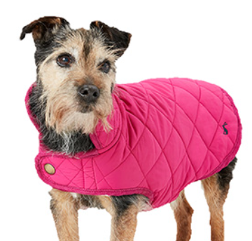 Joules Quilted Dog Coat