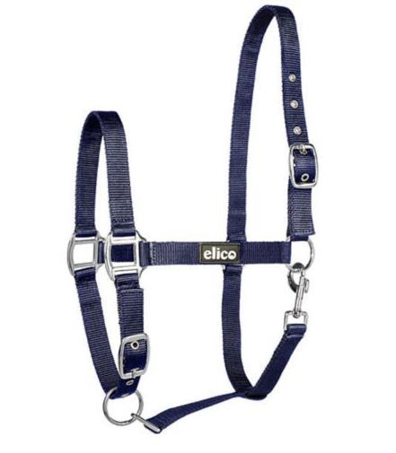 Elico Kendal Headcollar