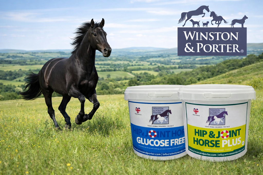 🐎 BEST HORSE JOINT SUPPLEMENT UK (2026 COMPLETE GUIDE)