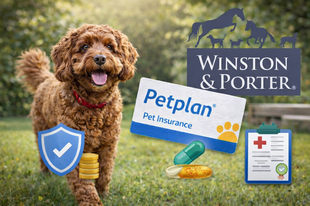 Can Dog Joint Supplements Be Claimed on Pet Insurance? (Real Customer Story)🌟