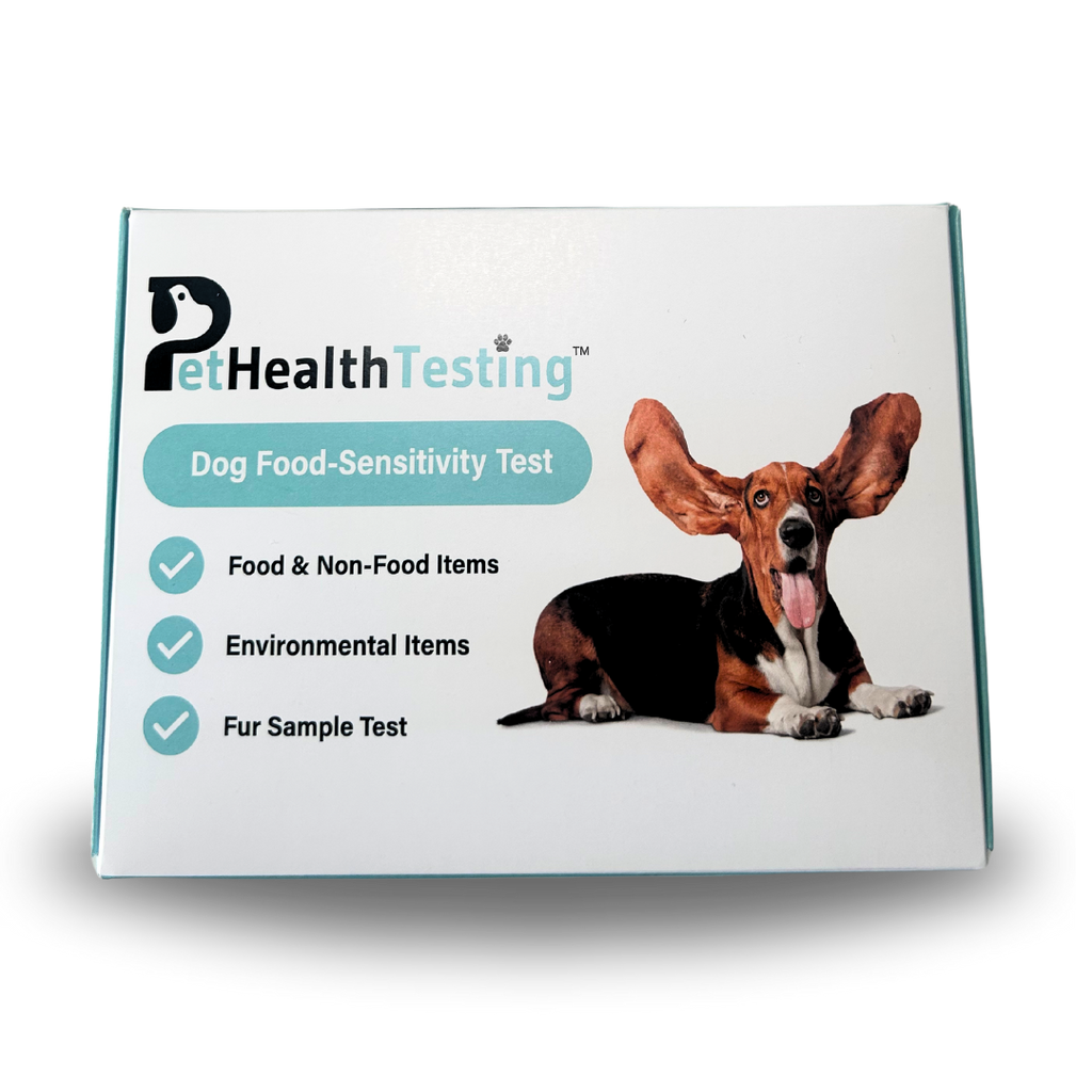 Understanding Pet Food Intolerances: How Testing Can Improve Your Dog, Cat, or Horse’s Wellbeing