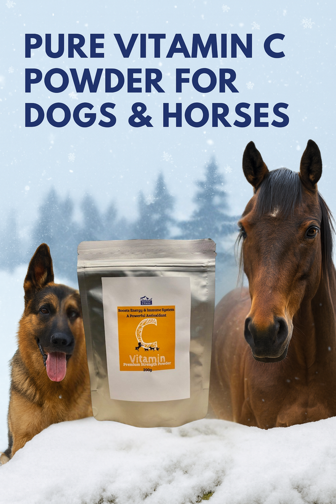 Pure Vitamin C Powder for Dogs & Horses: Winter Immune and Joint Support from Winston & Porter