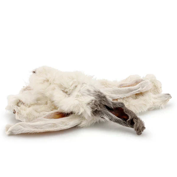 Natural Worming for Dogs: Does Fur Really Help?