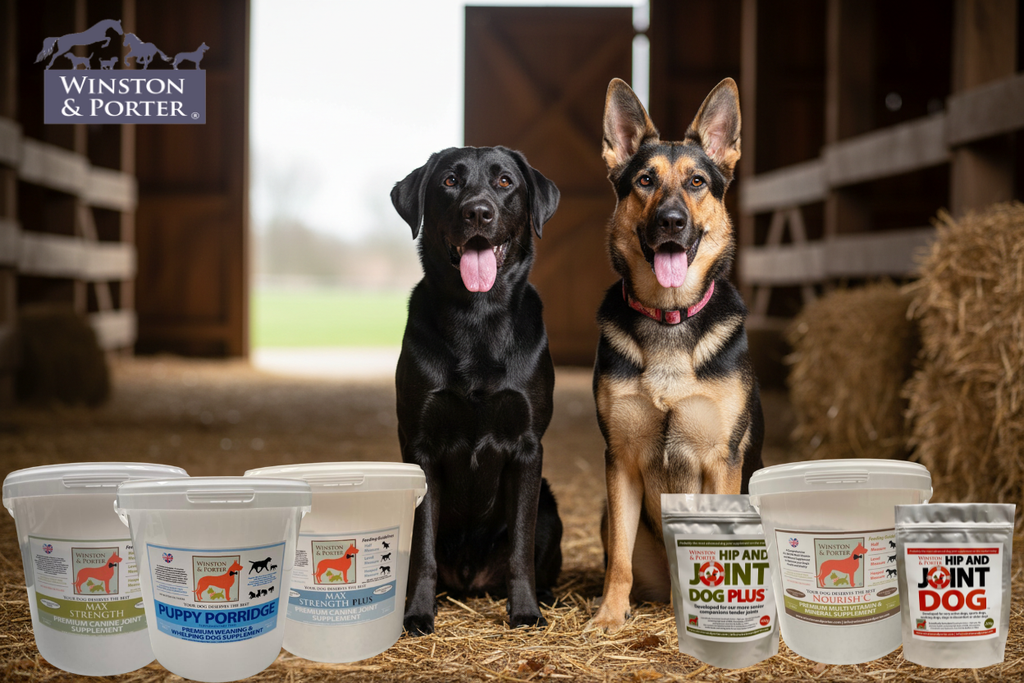 🐕 BEST DOG JOINT SUPPLEMENTS UK (2026 COMPLETE GUIDE)