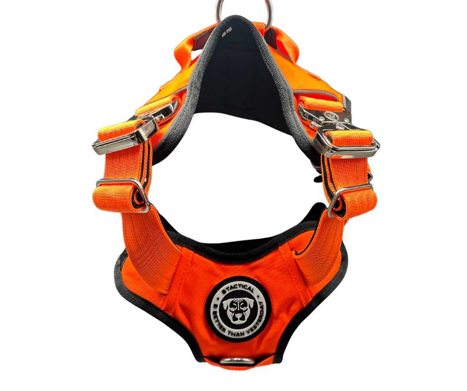 BTactical Leads and Collars