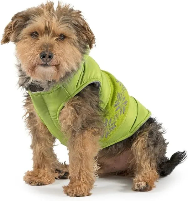 CANINE CLOSING DOWN SALE