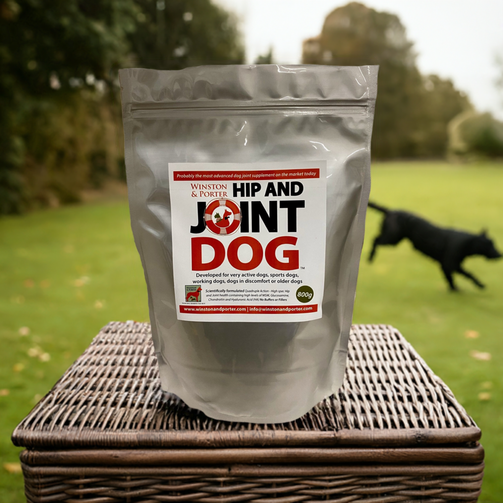 Could You Claim Winston & Porter Supplements on Your Pet Insurance?