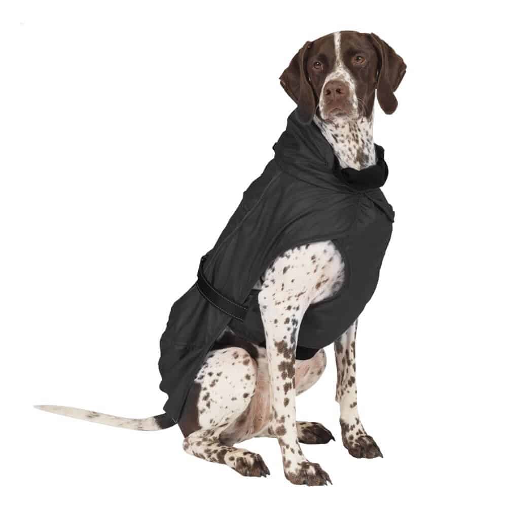 Ancol Extreme Monsoon Dog Winter Coat **XXL ONLY LEFT**