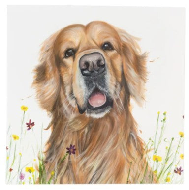 Julia Pankhurst Bouncing Buddies Dog Greetings Card - Various