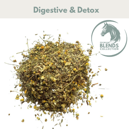 Digestive Support Blend