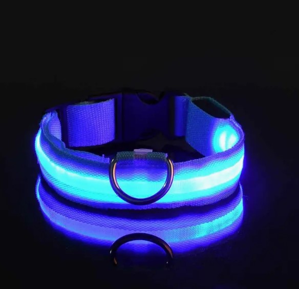 Glow-In-The-Dark Collar LED For Night Walking