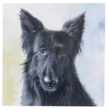 Julia Pankhurst Bouncing Buddies Dog Greetings Card - Various