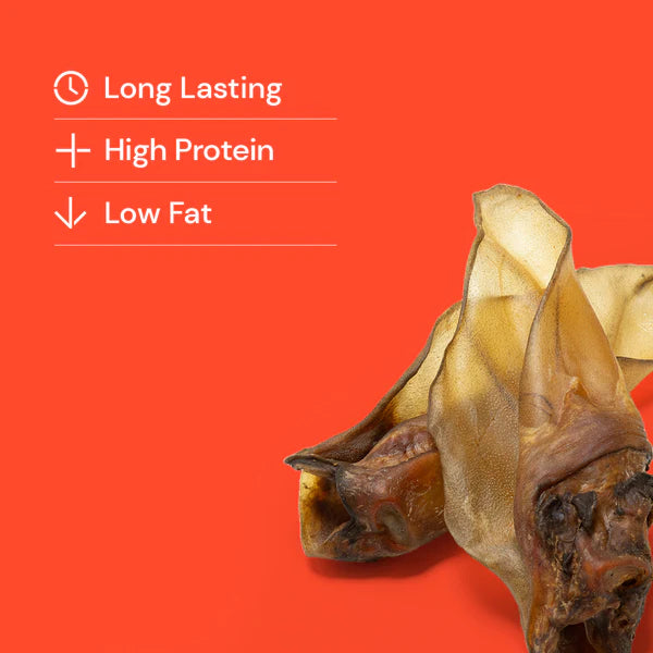 Large Cow Ear Chews - no hair