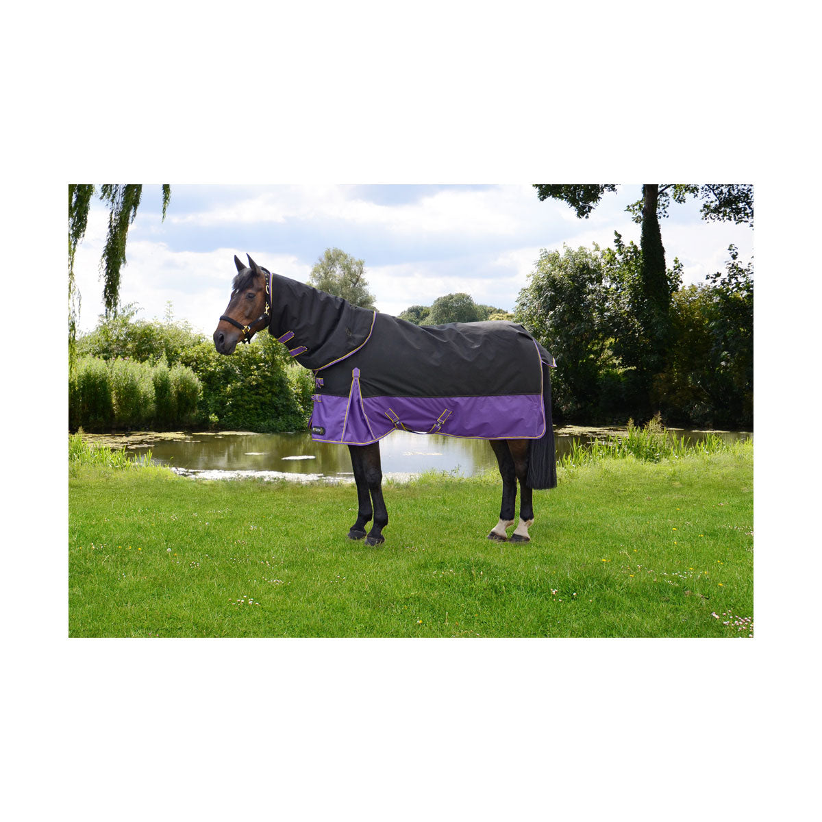 StormX Original 200 Turnout Rug with Detachable Neck Cover  Black/Purple/Yellow