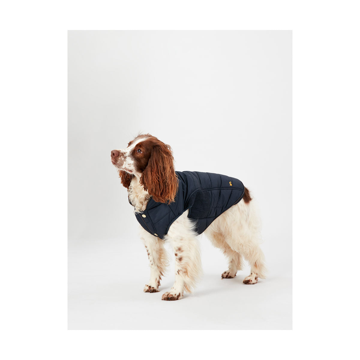 Joules Cherington Dog Coat Navy Blue