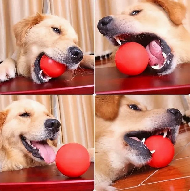 Indestructible Dog Ball